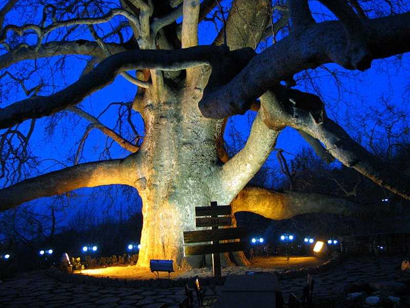 BURSA TOUR: WHERE HISTORY MEETS NATURE